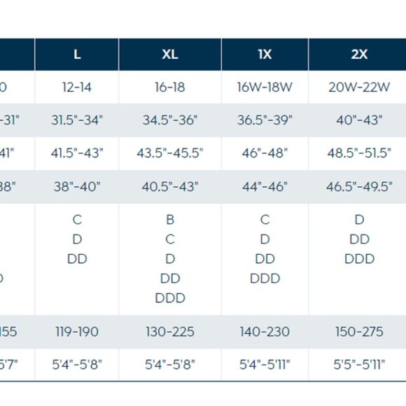 Rhonda Shear Womens Flirt Contour Cup Wire-Free Camisole ~ Black (XL) - Picture 11 of 14